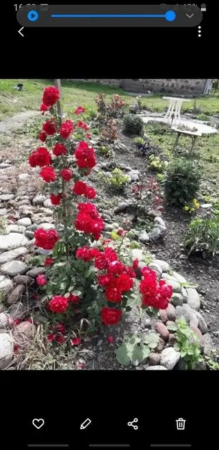 Степанцминда: Apartament at Kazbegi