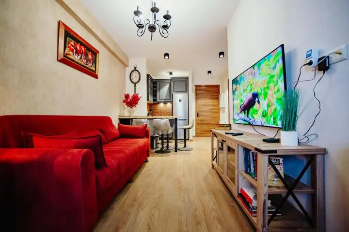Бакурианский Андезит: Area Park Bakuriani Apartament 209