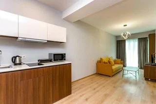 Бакуриани: 1BR Apartment. In Crystal Residence Bakuriani