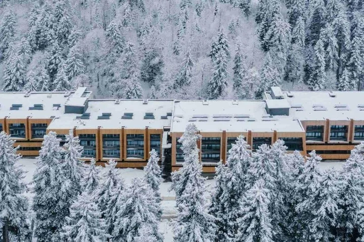 Бакуриани: Bakuriani, Kokhta Mitarbi Resort B1