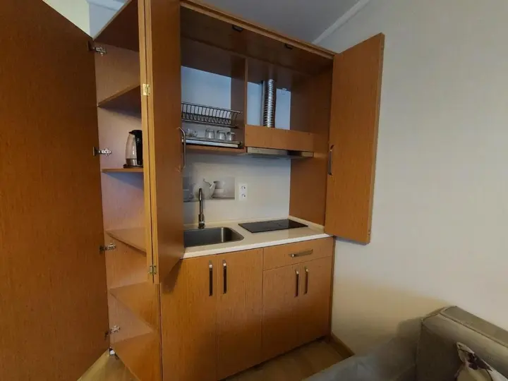 Бакуриани: Bakuriani Orbi Palace Deluxe 330