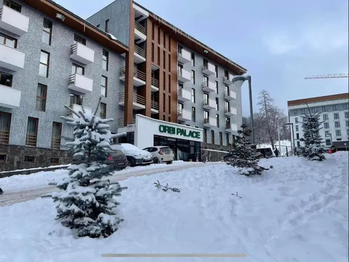 Бакуриани: Bakuriani Orbi Palace Deluxe 330