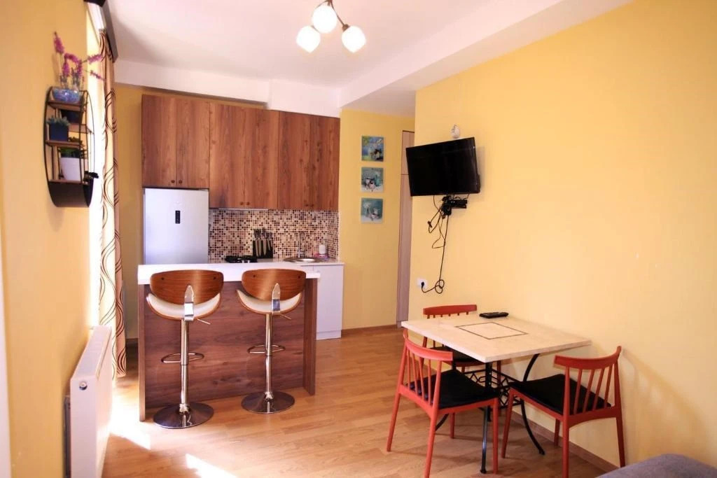 Бакуриани: Bakuriani City ApartHotel