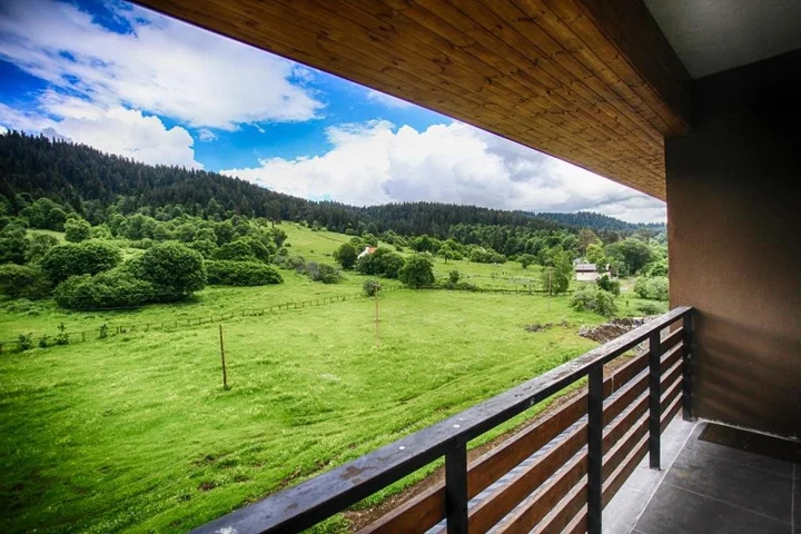 Бакуриани: Bakuriani City ApartHotel