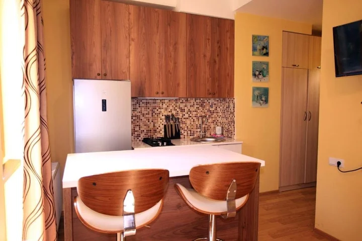 Бакуриани: Bakuriani City ApartHotel
