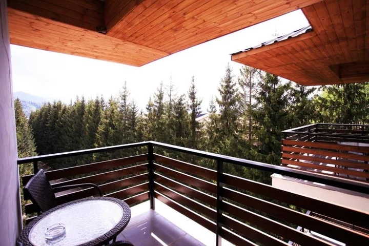 Бакуриани: Bakuriani City ApartHotel