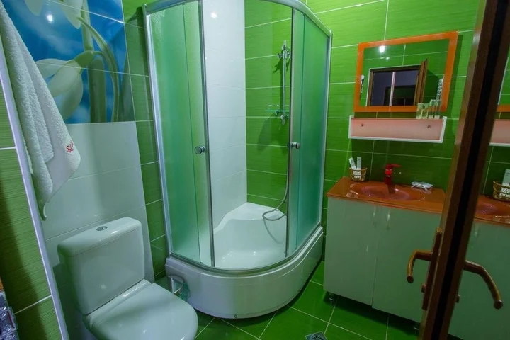 Бакуриани: Hotel in Bakuriani