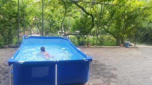 Мцхета: Guest House Ucha