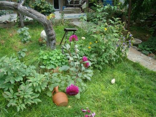 Мцхета: Guest House Ucha