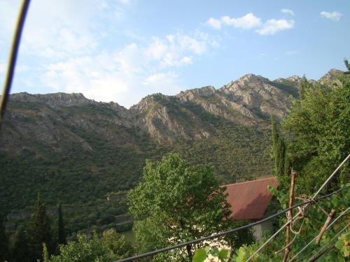 Мцхета: Guest House Ucha
