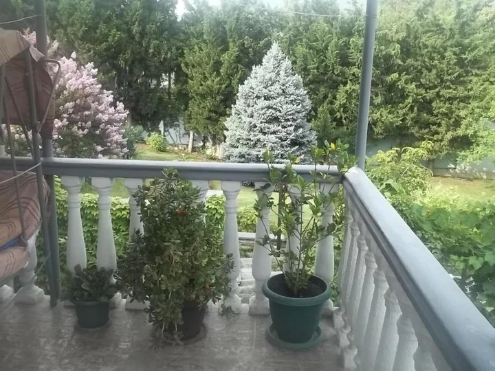 Мцхета: Hotel Liva