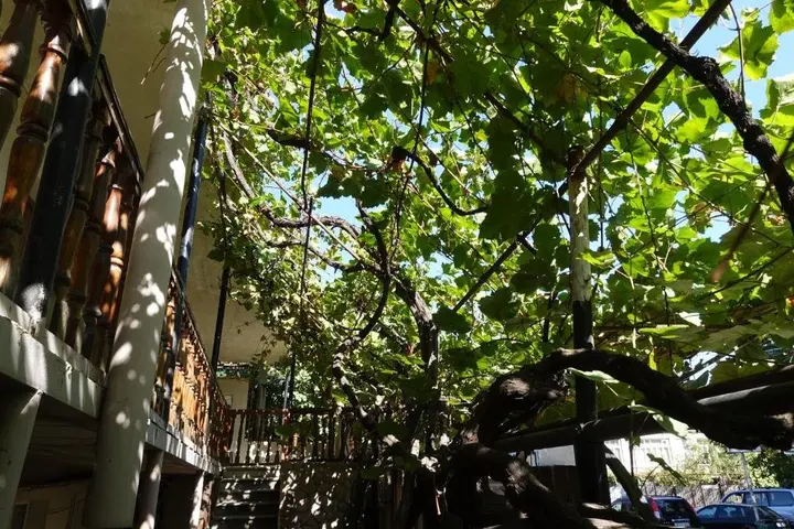 Мцхета: GREENBALCONY