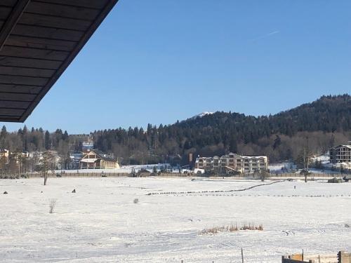 Бакуриани: Sunny Hotel