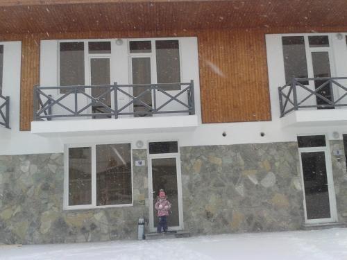 Бакуриани: Cottages Next to Ski Slope