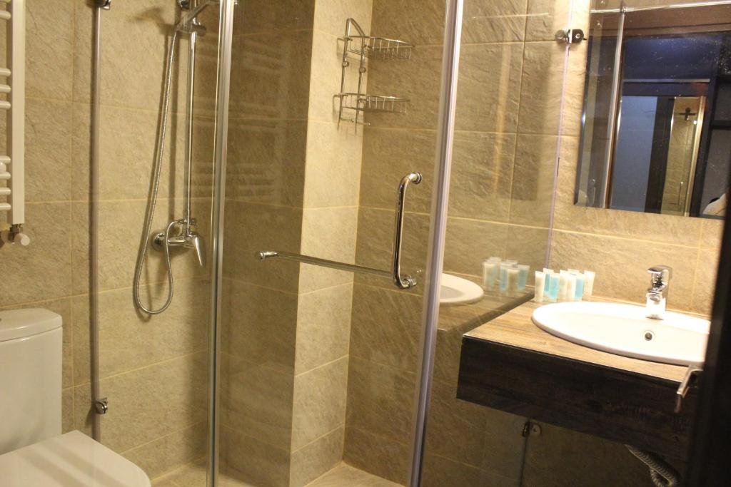 Бакуриани: Ledi Hotel