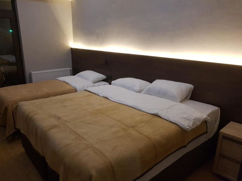 Бакуриани: Ledi Hotel
