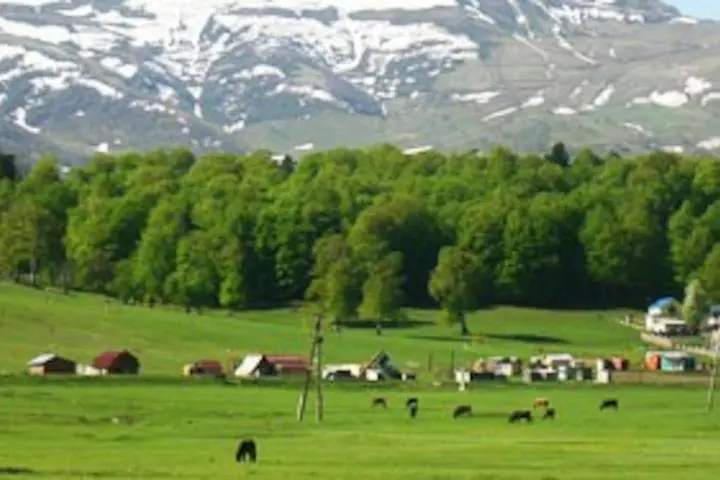 Бакуриани: Hillside Cottages Bakuriani