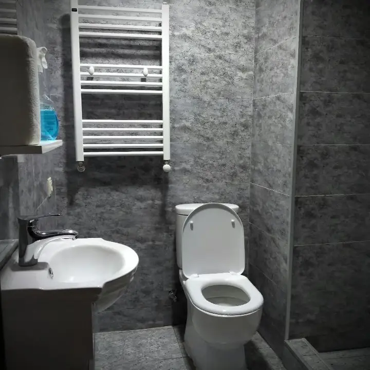 Бакуриани: Hotel Bakuriani Pride