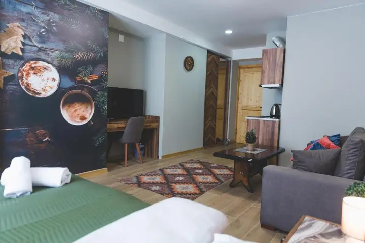 Бакуриани: Aparthotel Didveli Gallery