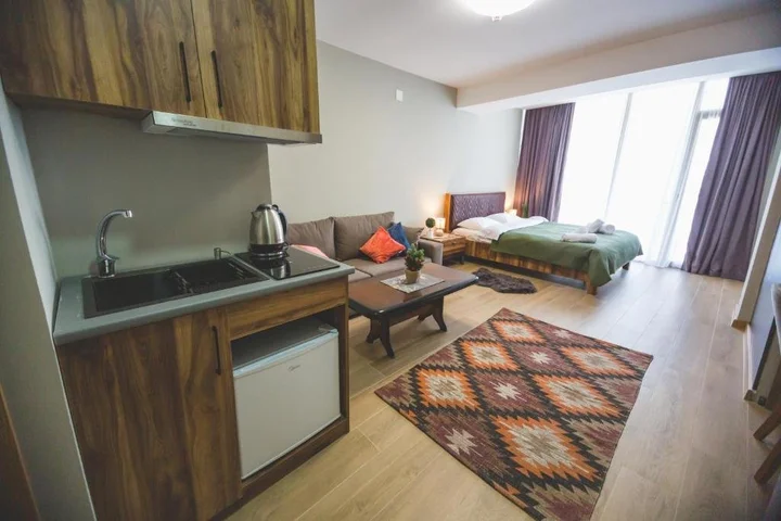 Бакуриани: Aparthotel Didveli Gallery