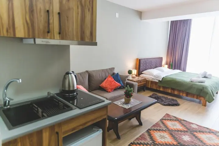 Бакуриани: Aparthotel Didveli Gallery