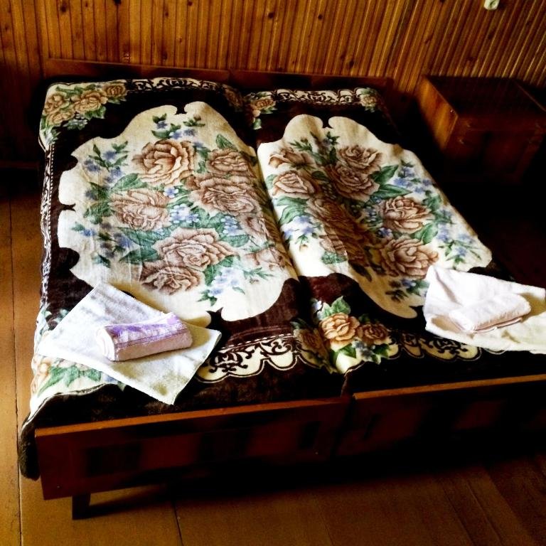 Местиа: Guest House in Bagvdanari