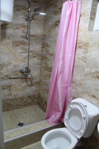 Местиа: Guesthouse "Girgvliani"
