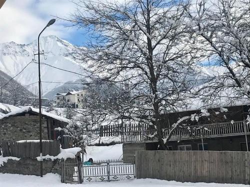 Местиа: Guesthouse "Girgvliani"