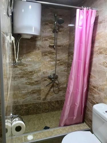Местиа: Guesthouse "Girgvliani"