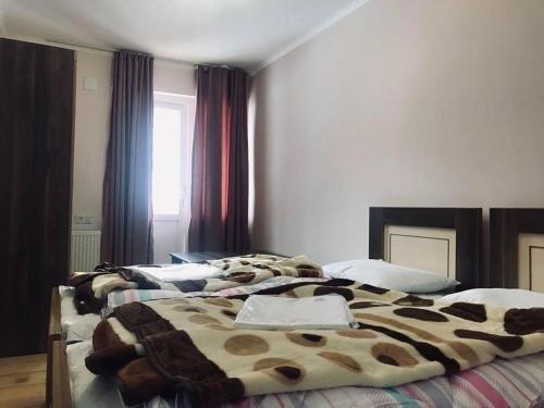 Местиа: Guesthouse "Girgvliani"
