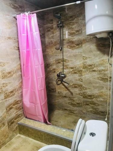 Местиа: Guesthouse "Girgvliani"