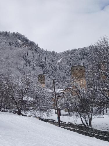 Местиа: Guesthouse Everezi