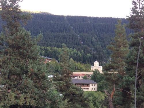 Местиа: Guest house lela