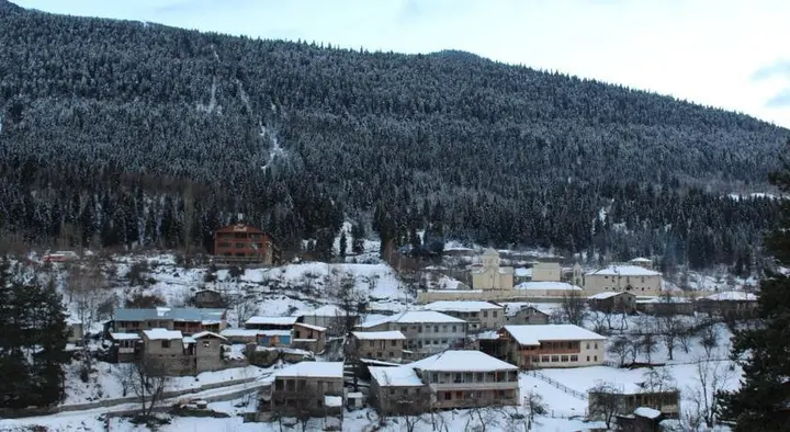 Местиа: Guest house Natia
