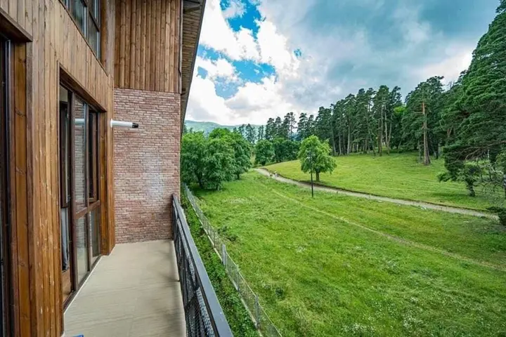 Бакуриани: Park Residence Forest View