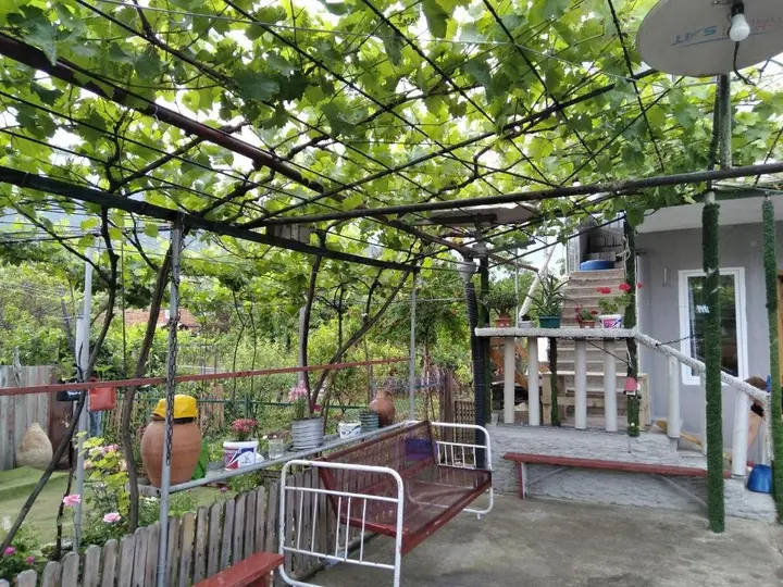Амбролаури: Chelo Guesthouse