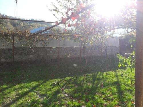 Амбролаури: guesthouse in ambrolauri