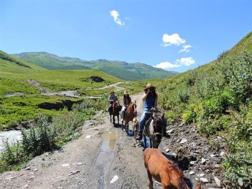 Ушгули: Ushgulitour`s Guesthouse