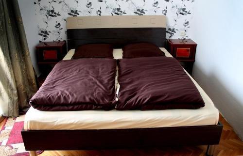 Сигнахи: Guest House Staar