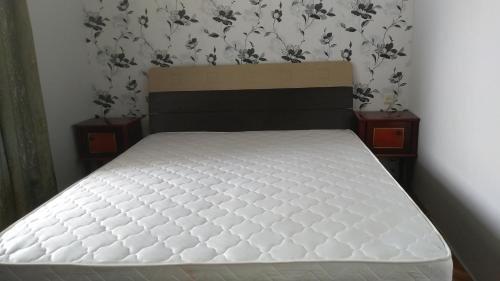 Сигнахи: Guest House Staar