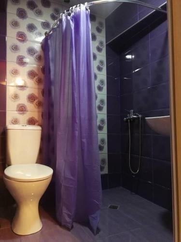 Боржоми: Guest House Shvelidze