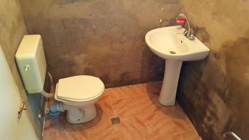 Боржоми: Guest House SALOME