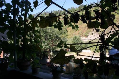 Боржоми: Guest House Nima