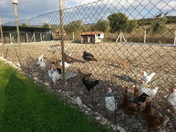 Урла: Özbek Çiftlikevi