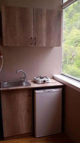 Боржоми: Guesthouse on Rustaveli