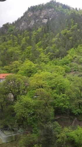 Боржоми: Guesthouse on Rustaveli
