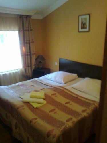 Боржоми: Hotel Meidani