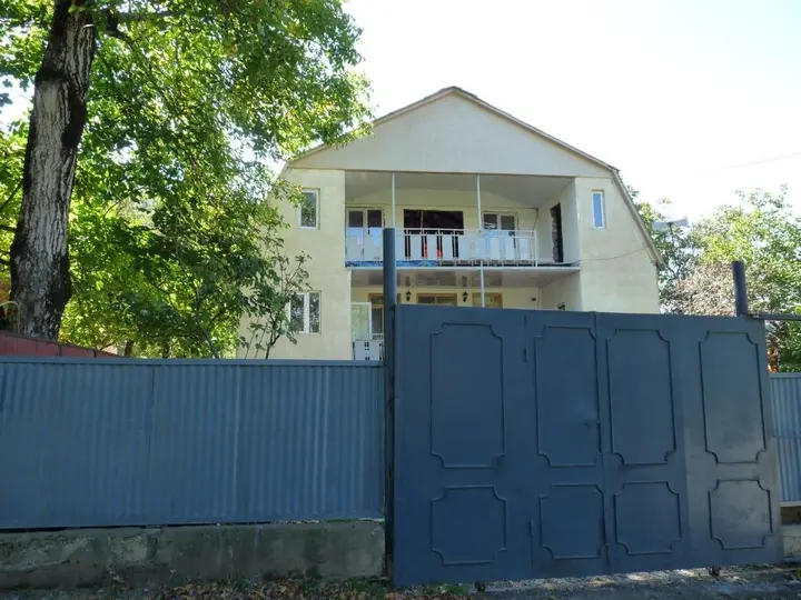 Боржоми: Guesthouse Nato