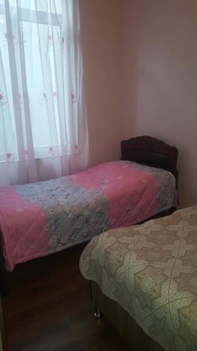 Сигнахи: Guest House Gogiashvili