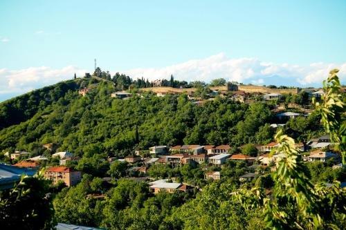 Сигнахи: Guest House Gogiashvili